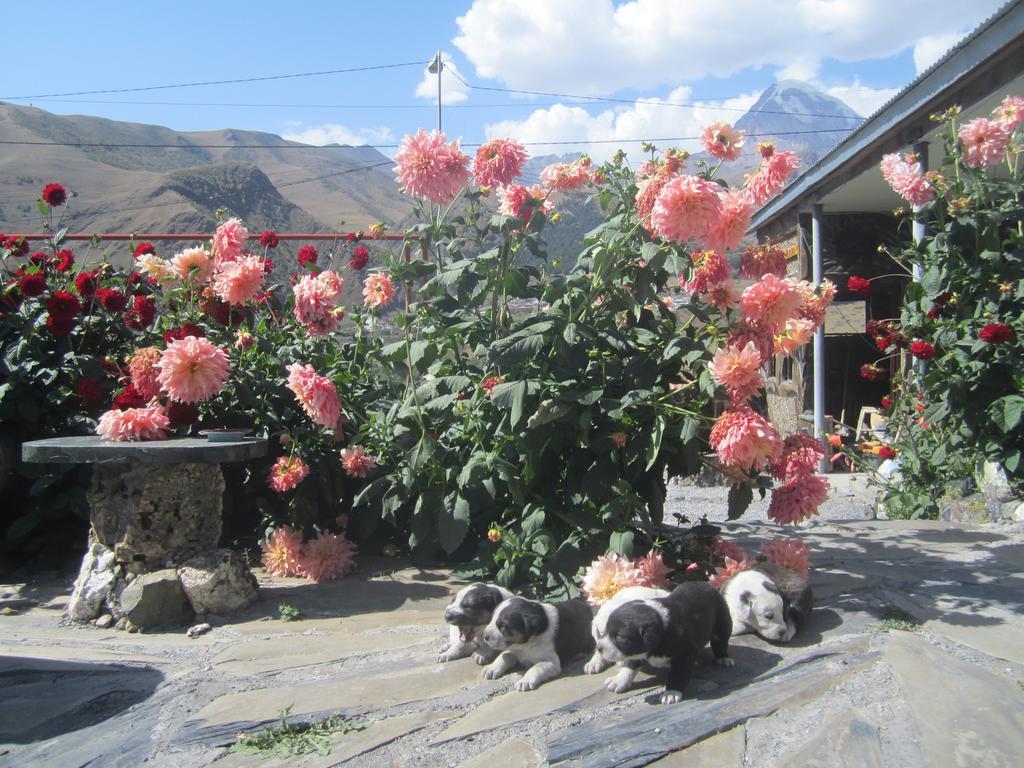 Qusha Guesthouse Meeting In The Mountains And Views Kazbegi Værelse billede