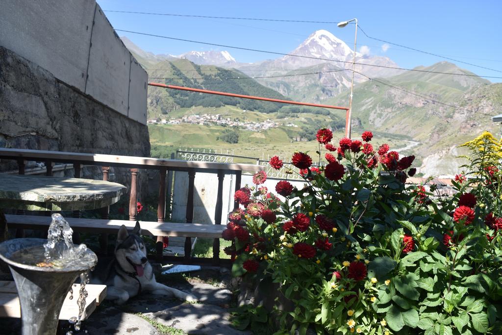 Qusha Guesthouse Meeting In The Mountains And Views Kazbegi Eksteriør billede