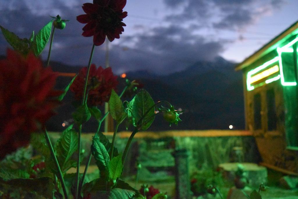 Qusha Guesthouse Meeting In The Mountains And Views Kazbegi Eksteriør billede