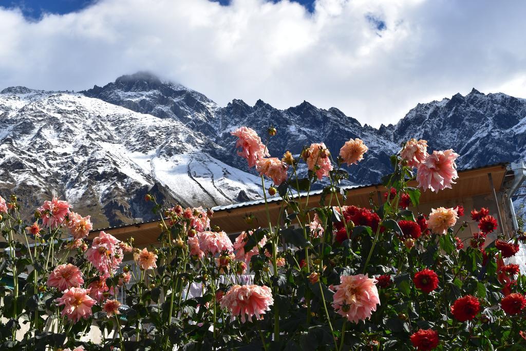 Qusha Guesthouse Meeting In The Mountains And Views Kazbegi Eksteriør billede