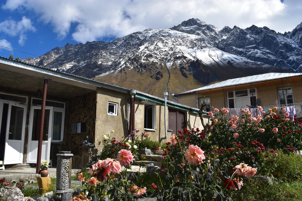 Qusha Guesthouse Meeting In The Mountains And Views Kazbegi Eksteriør billede